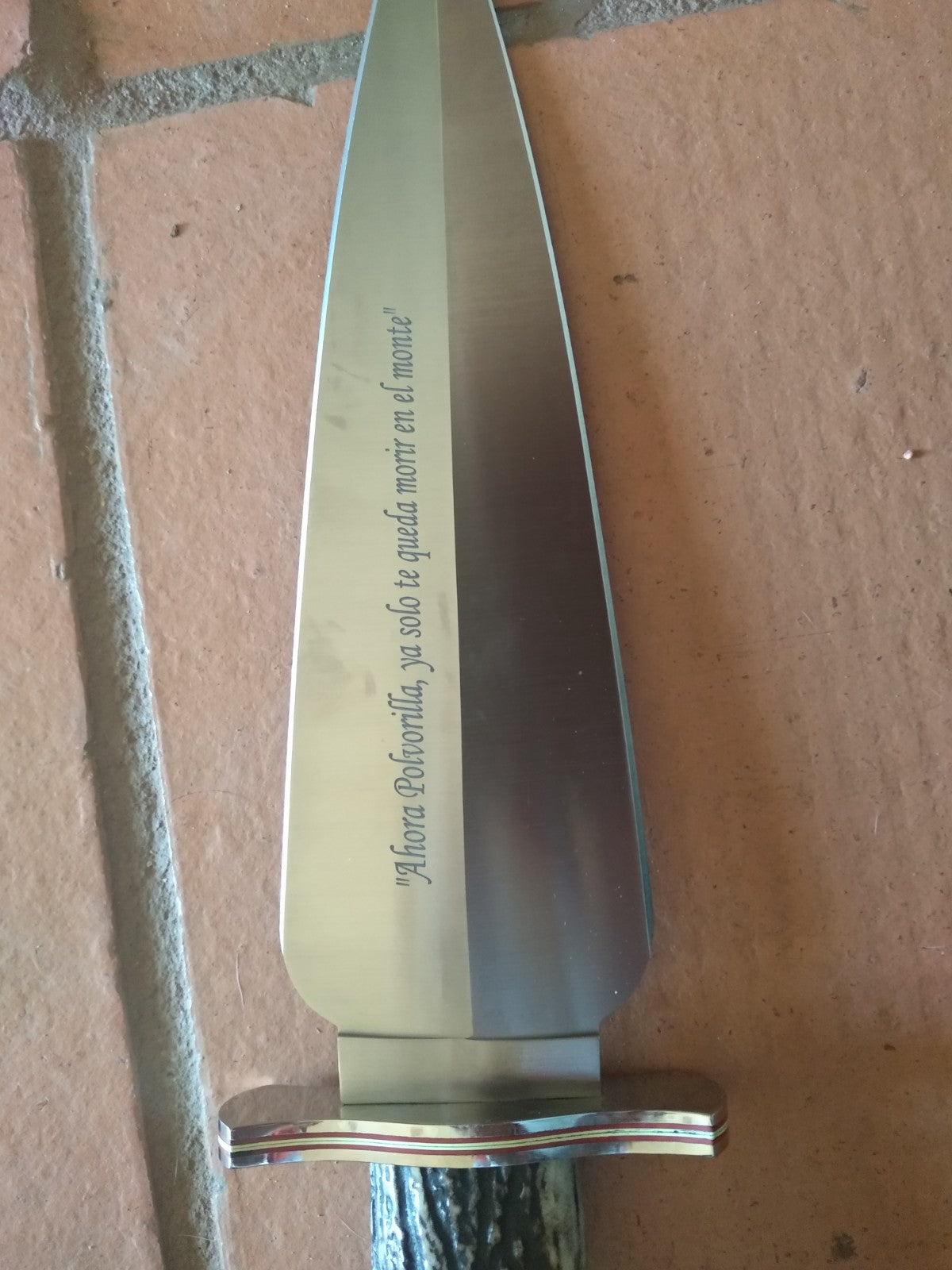 Cuchillo Muela Polvorilla